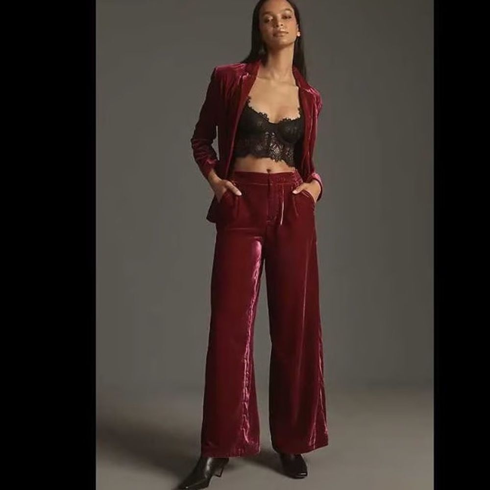 Anthropologie Wide Leg Velvet Pants NWT